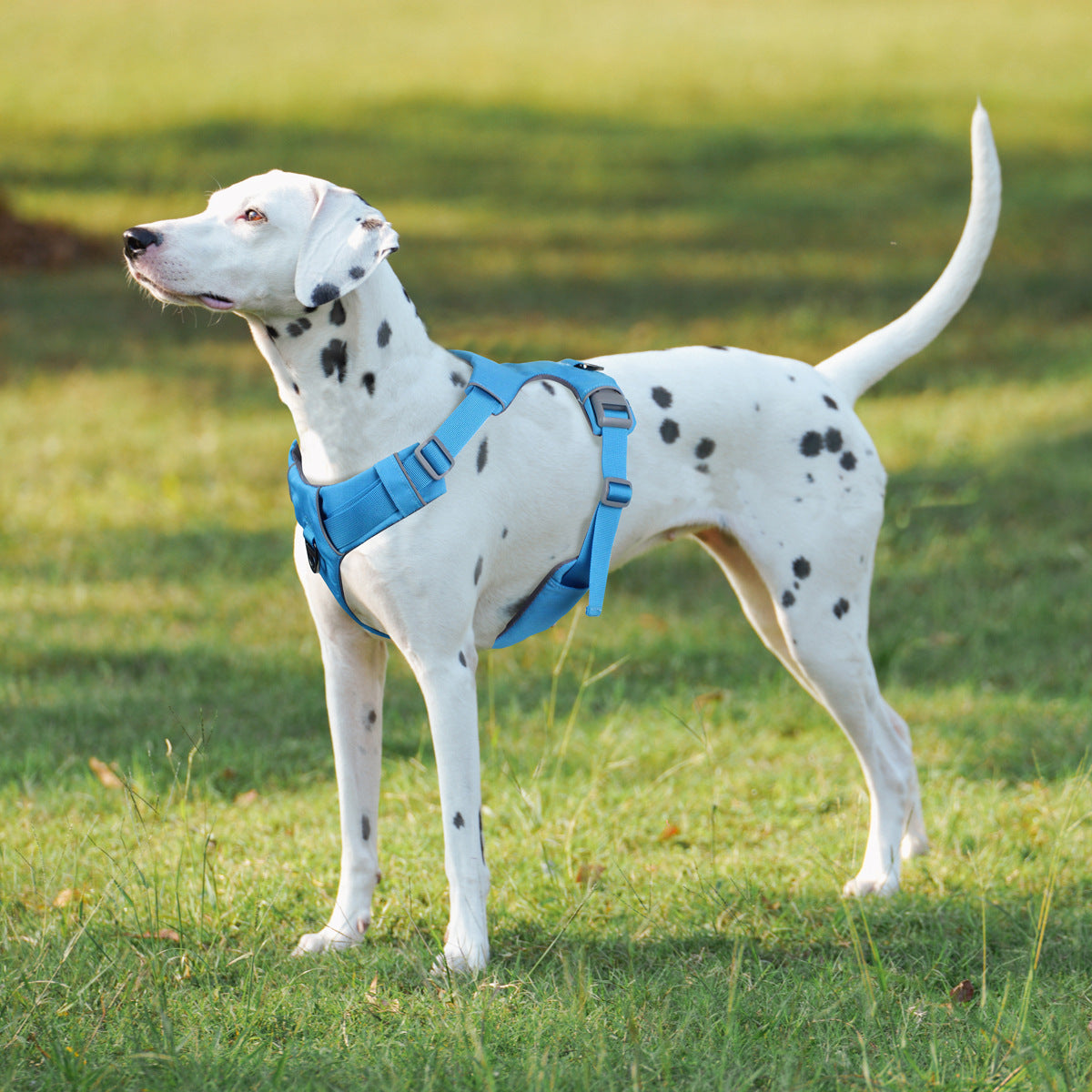 Dog Safety Harness Pull Function Type Durable Comfortable Pet Harness