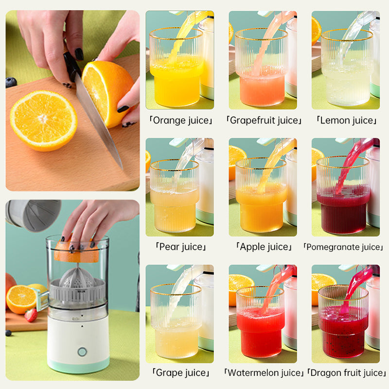 Portable USB Rechargeable Fruit Juicer