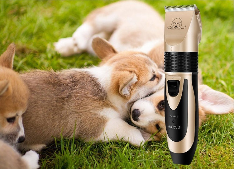 Pet shaving machine