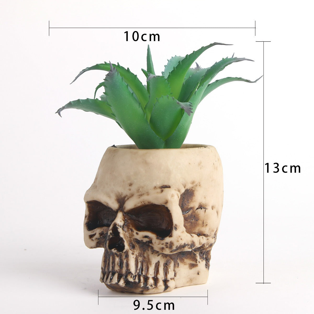 Succulent skull head bonsai resin skull head ornament