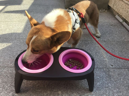 Collapsible Pet Double Bowl, Portable and Adjustable