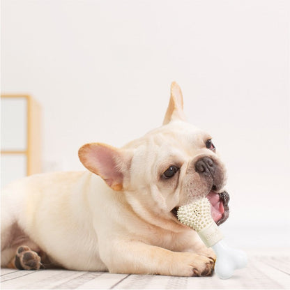 Pet Chewing Toy – Bur Bone Design