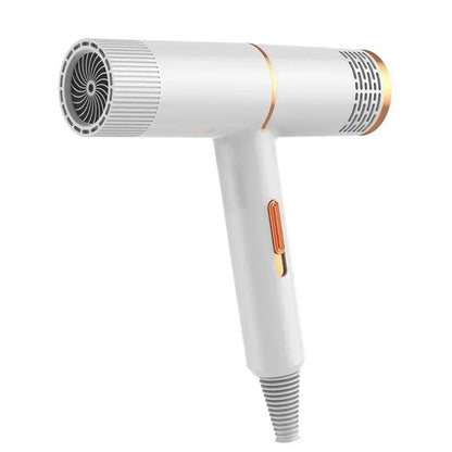 Professional Hair Dryer High Power Infrared Anion Hammer Powerful Cold