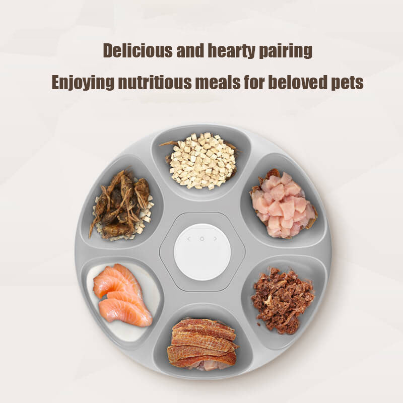 Paiwang 6-Meal Automatic Pet Feeding Device Cross border Spot Wholesale Wet Cat Food Cat Dog Timed Feeding Device