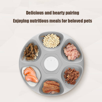 Paiwang 6-Meal Automatic Pet Feeding Device Cross border Spot Wholesale Wet Cat Food Cat Dog Timed Feeding Device