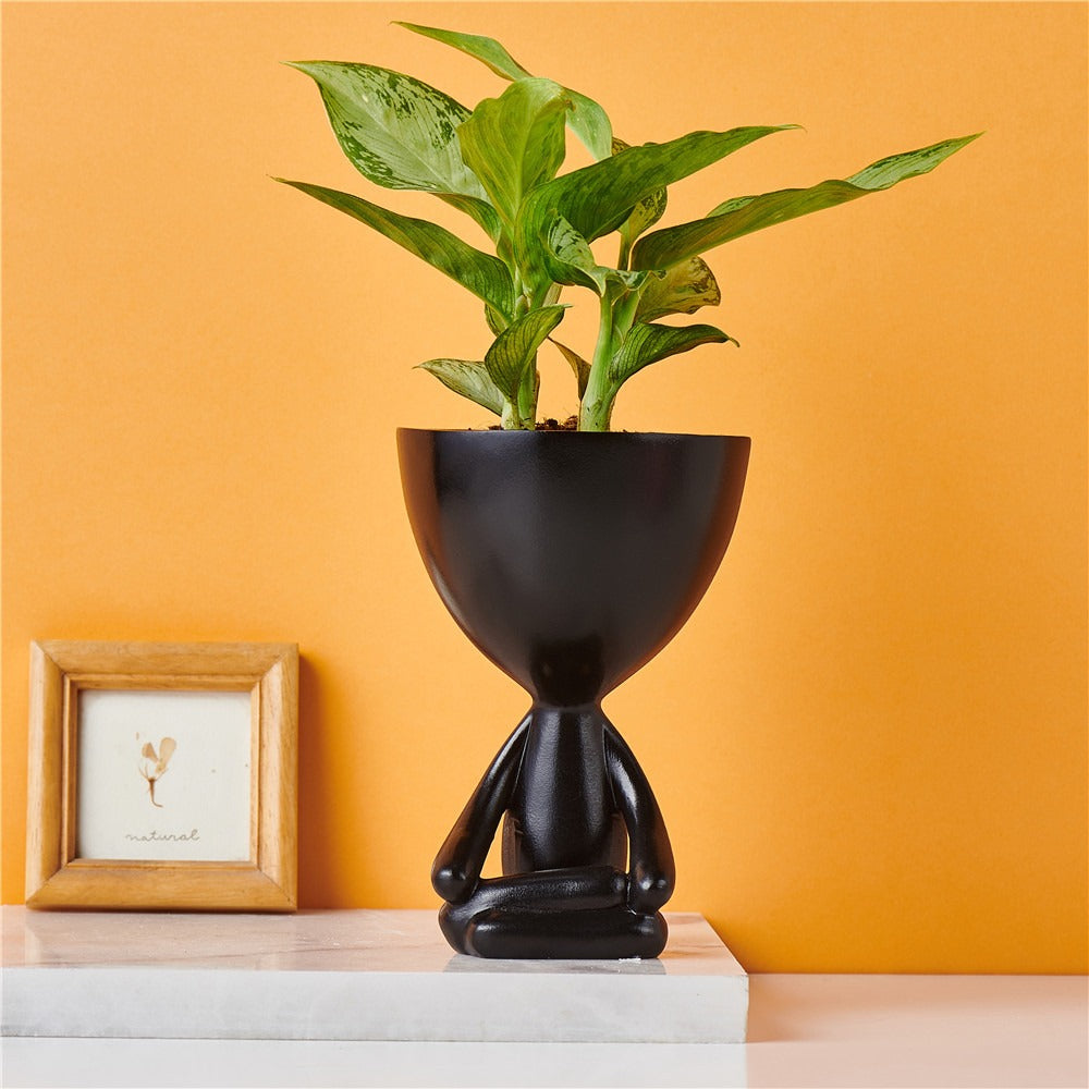 Creative Meditation Figurine Succulent Flower Pot Ornaments