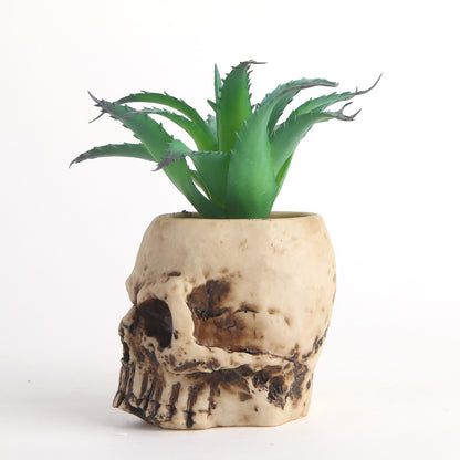 Succulent skull head bonsai resin skull head ornament