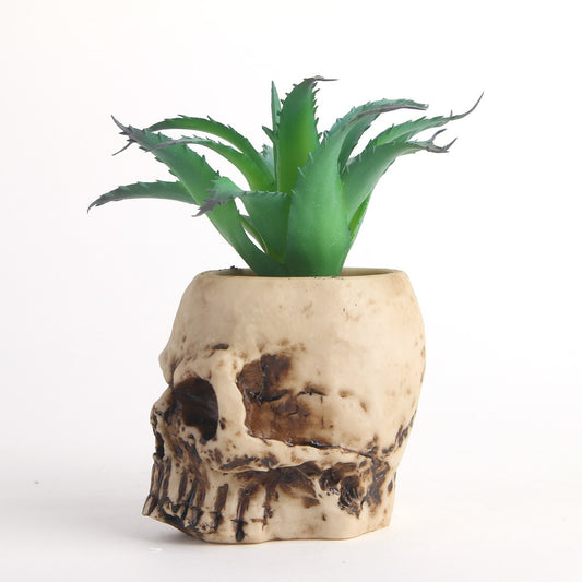 Succulent skull head bonsai resin skull head ornament