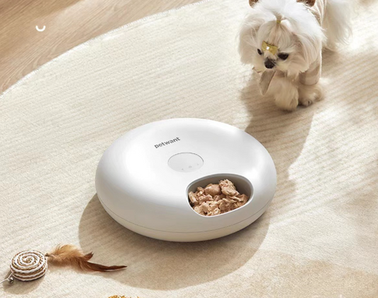 Paiwang 6-Meal Automatic Pet Feeding Device Cross border Spot Wholesale Wet Cat Food Cat Dog Timed Feeding Device