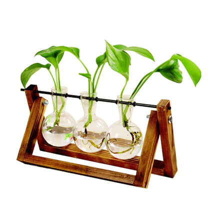 Terrarium Creative Hydroponic Plant Transparent Vase Wooden Frame…
