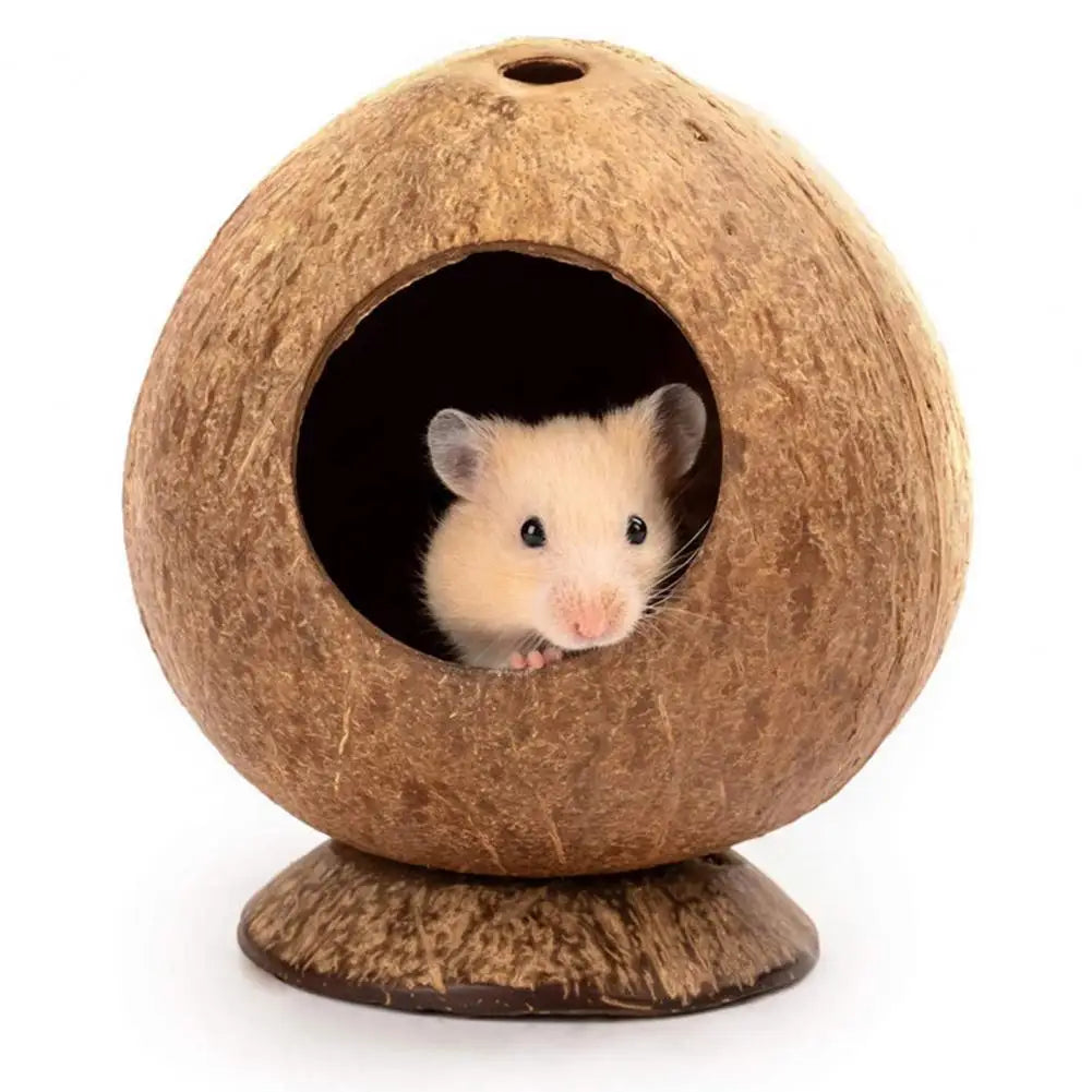 Stable Structure Coconut Shell Pet Landscaping Hamster Hideout House