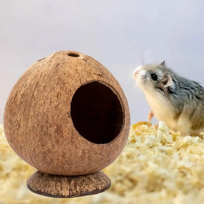 Stable Structure Coconut Shell Pet Landscaping Hamster Hideout House