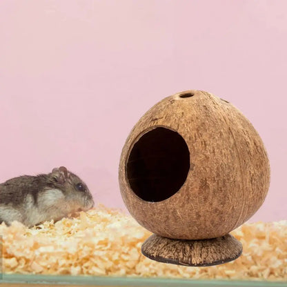 Stable Structure Coconut Shell Pet Landscaping Hamster Hideout House