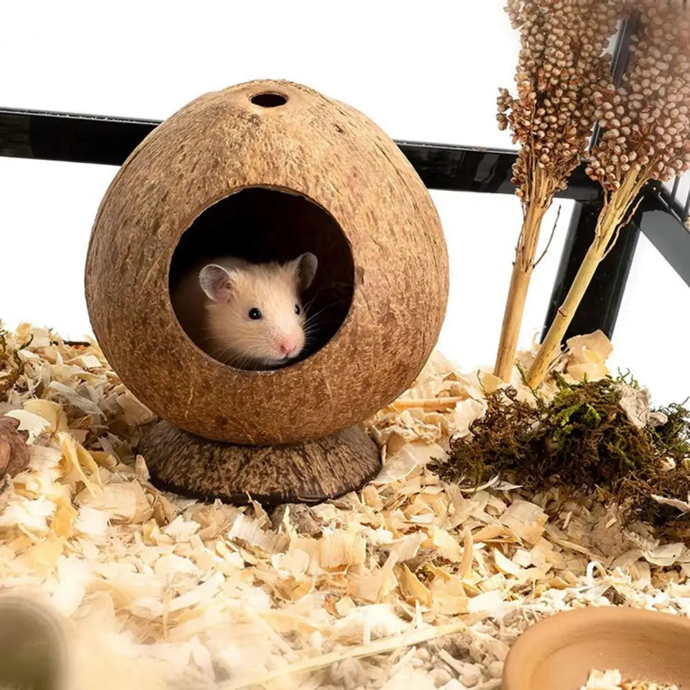 Stable Structure Coconut Shell Pet Landscaping Hamster Hideout House