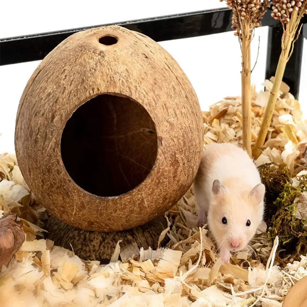 Stable Structure Coconut Shell Pet Landscaping Hamster Hideout House