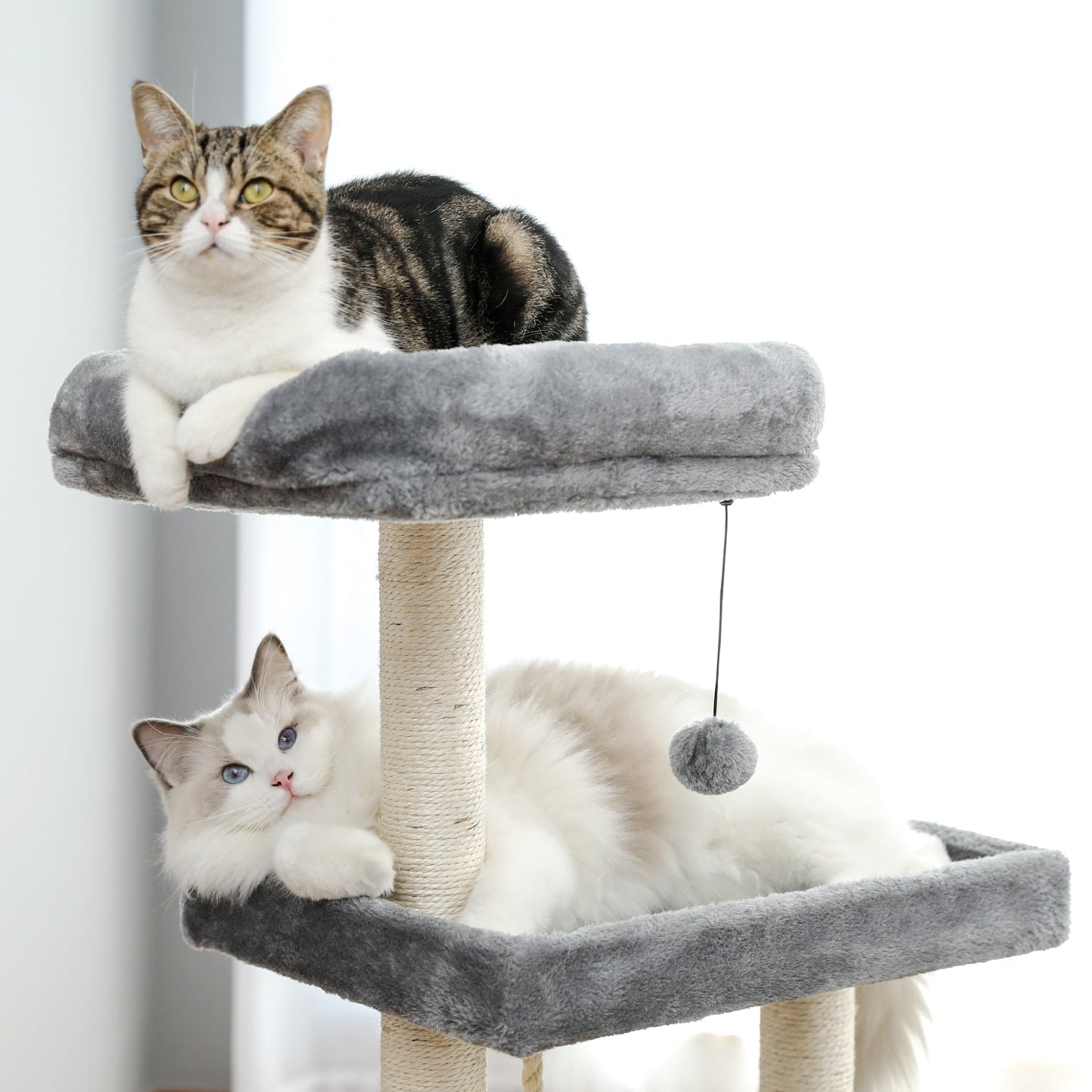 Zabavni stolp Cat Tree s stopnicami